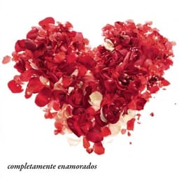 Carátula de Estoy Enamorado