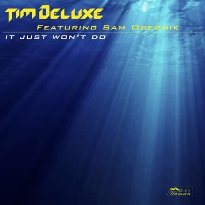 Carátula de It Just Won't Do (feat. Sam Obernik) [Radio Edit]