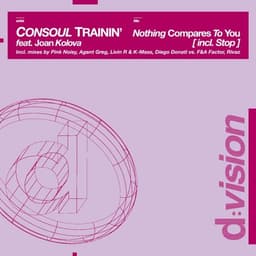 Carátula de Nothing Compares to You (Last Min Extended Mix)