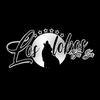Radio Online Los Lobos Del Sur